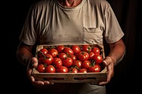 Man holding a crates of tomatoes vegetable adult plant. AI generated Image by rawpixel.