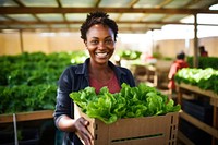 Woman holding a crate of lettuce vegetable organic working. AI generated Image by rawpixel.