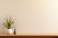 Wooden console with a plant on top of it windowsill tranquility houseplant. 