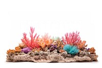 Coral reef aquarium nature sea. AI generated Image by rawpixel.