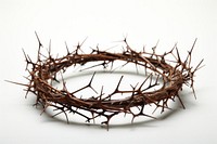 Crown of Thorns white background accessories accessory. AI generated Image by rawpixel.