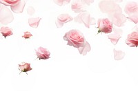 Roses backgrounds flower petal. AI generated Image by rawpixel.