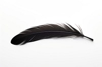 Single of black feather white background lightweight accessories. AI generated Image by rawpixel.