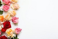 Roses line the bottom edge rose backgrounds flower. AI generated Image by rawpixel.