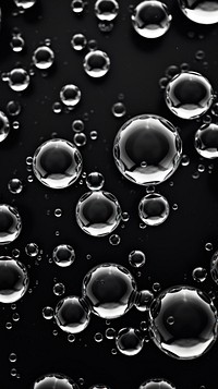 Monochrome bubbles black transparent backgrounds. 