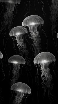 Monochrome jellyfish black invertebrate translucent. AI generated Image by rawpixel.