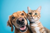 Cat and dog mammal animal nose. AI generated Image by rawpixel.