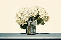 White hydrangea flower jar plant. AI generated Image by rawpixel.