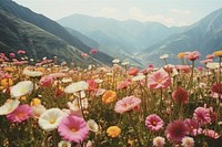 Colorful flowers landscape outdoors nature. AI generated Image by rawpixel.