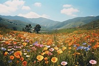 Colorful flowers field landscape grassland. AI generated Image by rawpixel.