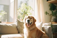 Retriever mammal animal puppy. AI generated Image by rawpixel.
