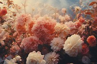 Flower aesthetic flower outdoors blossom. AI generated Image by rawpixel.
