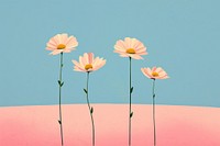 Flower daisy field outdoors petal plant. AI generated Image by rawpixel.