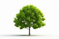 A green tree plant white background tranquility. AI generated Image by rawpixel.