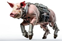 Cyborg pig running mammal animal livestock. AI generated Image by rawpixel.