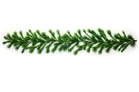 A Christmas garland from green pine twigs decoration christmas plant. AI generated Image by rawpixel.