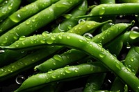 Green beans food vegetable plant. AI generated Image by rawpixel.