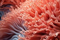 Healthy coral nature ocean sea. AI generated Image by rawpixel.