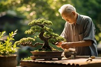 Bonsai outdoors nature garden. AI generated Image by rawpixel.