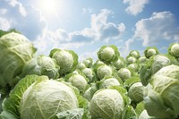 Cabbages backgrounds vegetable plant. AI generated Image by rawpixel.