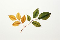 Green leaf turning brown plant tree art. AI generated Image by rawpixel.