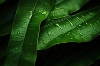 Tropical leaves outdoors pattern nature. AI generated Image by rawpixel.