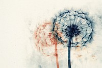 Dandelion plant inflorescence backgrounds. AI generated Image by rawpixel.