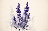 Lavender flower blossom nature. AI generated Image by rawpixel.