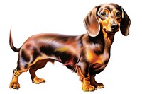 Dachshund dog dachshund animal mammal. AI generated Image by rawpixel.