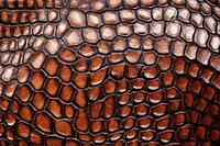 Brown crocodile skin texture backgrounds repetition. AI generated Image by rawpixel.