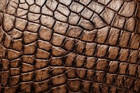 Brown crocodile texture skin backgrounds. AI generated Image by rawpixel.