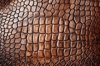 Brown crocodile texture wood skin. AI generated Image by rawpixel.