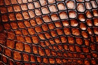 Brown crocodile skin texture backgrounds ammunition. AI generated Image by rawpixel.