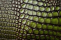 Crocodile texture backgrounds vegetation. AI generated Image by rawpixel.