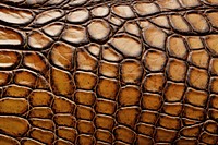Crocodile texture backgrounds textured. AI generated Image by rawpixel.