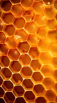 Honeycomb texture honeycomb macro photography invertebrate. AI generated Image by rawpixel.