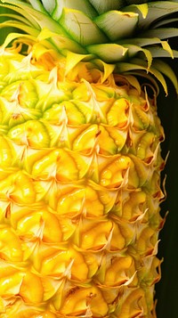 Pineapple texture plant fruit food. 