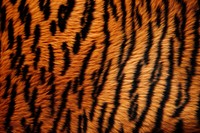 Tiger skin wildlife texture animal. AI generated Image by rawpixel.