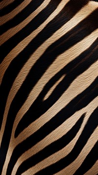 Zebra skin wildlife texture wood. AI generated Image by rawpixel.
