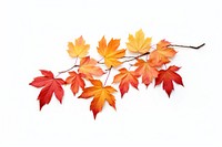 Autumn leaves maple plant leaf. AI generated Image by rawpixel.