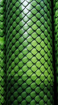Green snake skin reptile texture backgrounds. AI generated Image by rawpixel.