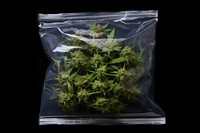 Cannabis in plastic bag plant black background freshness. AI generated Image by rawpixel.