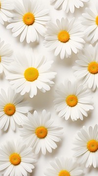 Daisy pattern flower petal. AI generated Image by rawpixel.