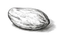Almond drawing sketch illustrated. AI generated Image by rawpixel.