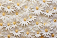 Daisy pattern backgrounds flower. 