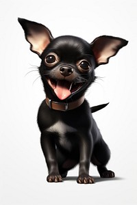 A baby black Chihuahua dog chihuahua mammal animal. 