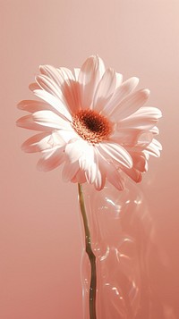 A flower blossom petal plant. AI generated Image by rawpixel.