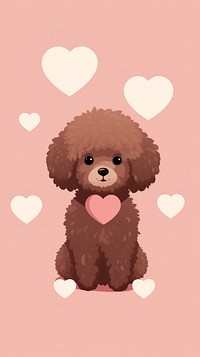 Brown poodle animal dog mammal