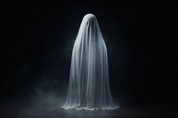 A white ghost horror dress veil. 