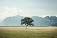 Scenery landscape tree mountain. AI generated Image by rawpixel.